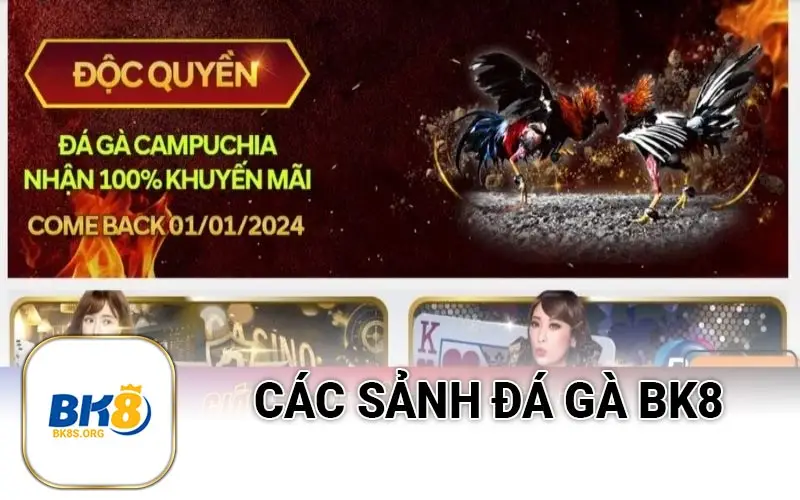 Các sảnh đá gà BK8