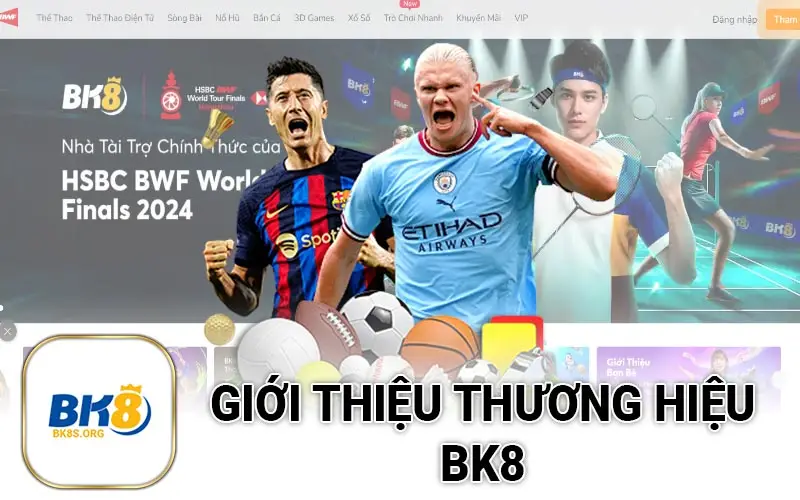 Giới thiệu thương hiệu BK8